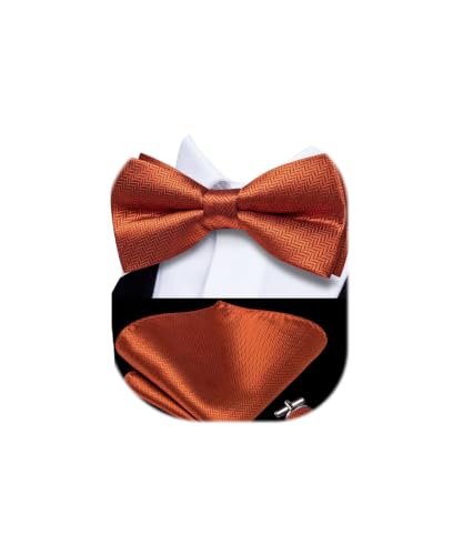 Image of Dubulle Mens Paisley Striped Bowtie Set Pre-tied Bowtie for Men and Pocket Square Set Wedding Business