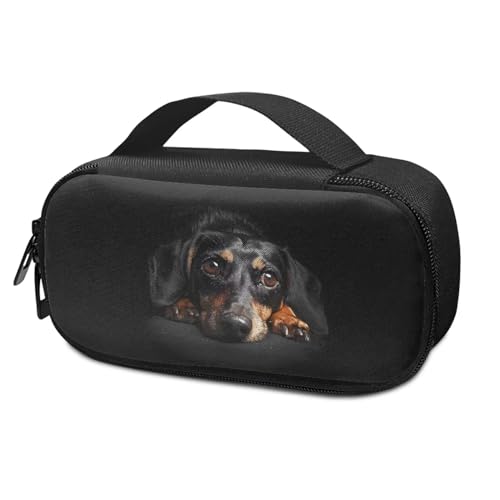 Pzuqiu Niedliche Hunde-Insulin-Reisetasche, Medikamentenkühltasche, isolierter Organizer, stilvolle Kühltasche für Insulin-Stift und Medikamente, Diabetikerbedarf