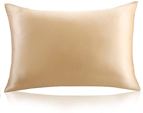 ZIMASILK 100% Mulberry Silk Pillowcase for Hair and Skin Health,Soft and Smooth,Both Sides Premium Grade 6A Silk,600 Thread Count,with Hidden Zipper,1pc (King 20''x36'',Champagne)