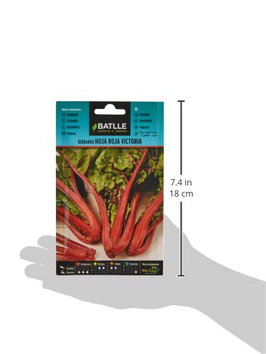 Batlle kruidenzaden - rabarber rood Victoria (zaden - 40-60cm) - Image 5