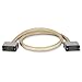 V.35 Interface Cable 34Conductor Str