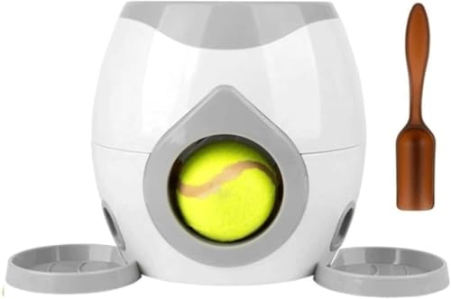 Queeninget p{[`[iejX{[2At[hJ}VAC^NeBuȌptj ()