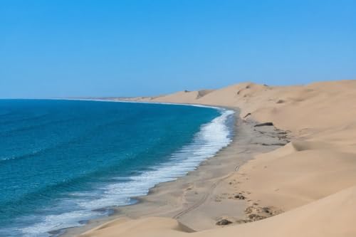 Tableau composite en aluminium adrium 110 x 70 cm paysage de dunes Namibie