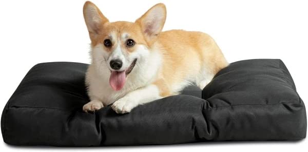 PetLux Waterproof Dog Bed Large - Washable Dog Mat Mattress with Oxford Fabric, Water Resistant Flat Dog Pillow Bed for Dog Crate, Black (M) (B0B6RR1JNK) Amazon Price History, Amazon Price Tracker
