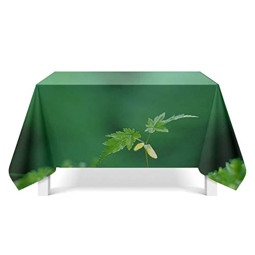 Aeici Mantel lavable hojas Camino de mesa poliéster Mantel para mesa de salón, Diseño 2, 140 cm x 140 cm