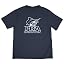 Palm Beach Atlantic University/N/Primary Logo/Yt