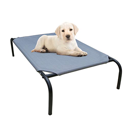 collapsible raised dog bed