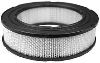 Replacement Air Filter For Briggs & Stratton 692519. Includes Replacement Washable Pre-Filter For 692520 by Briggs & Stratton