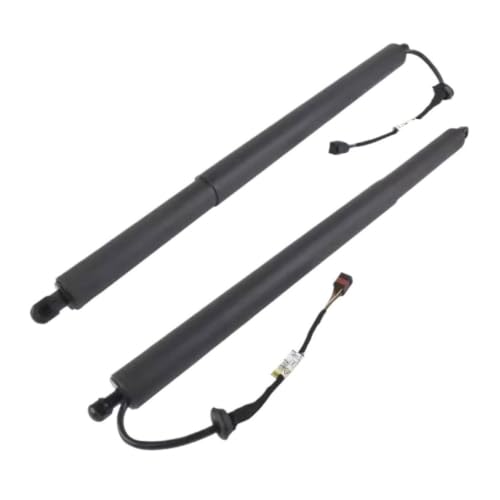 Varilla de soporte de puerta trasera eléctrica con especificación OEM 81841-S8100