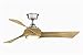 Fanimation MAD8530BN Wrap Custom Motor, Brushed Nickel