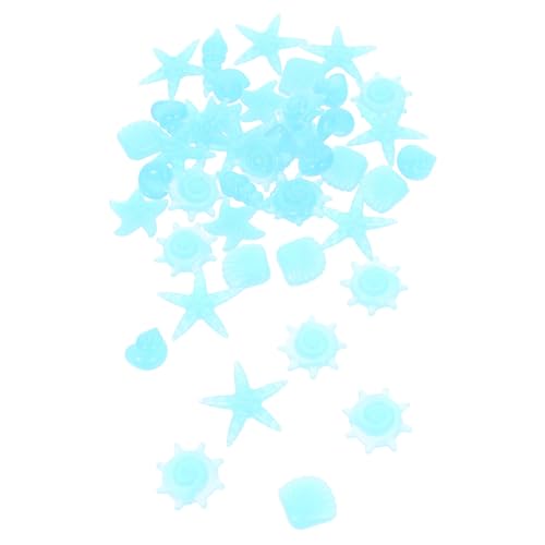 Kichvoe 50蔭Ύq I[Ve[}   Őp 炩őIȐ