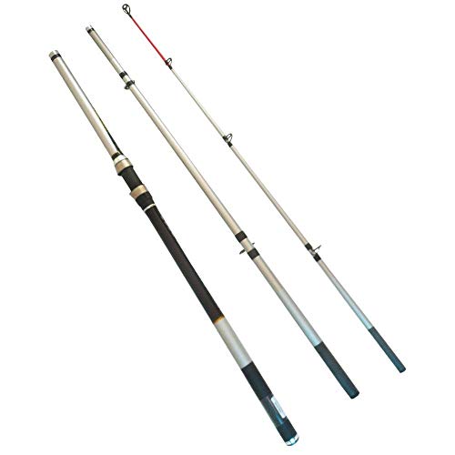 Vara Pesca Verano Surf Vs-4203 3,90 M