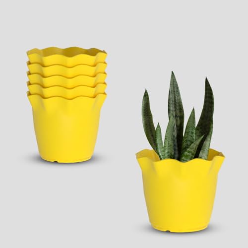 Image of YUCCABE ITALIA SHERA 8 Inch Plastic Flower Pot 6 Piece Set of Unbreakable Round Shape Planter for Home Garden Seedling, Indoor and Outdoor (Yellow)
