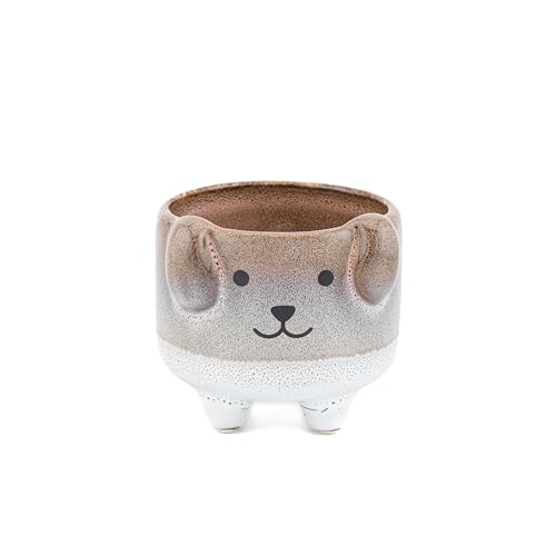 Image of Sass & Belle Mojave Dog Planter - Colourful Mini Pot for Succulents, Cactus, Flower Bulbs, Quirky Home Décor, Indoor Garden Accessory, Plant Pot Gift Idea