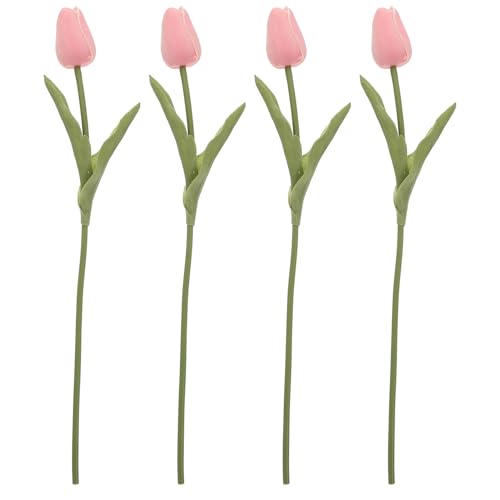 STOBAZA tFCN`[bv P[LfR[V PU ԏ EGfBOp[eB[ a BepAWgp 4Zbg