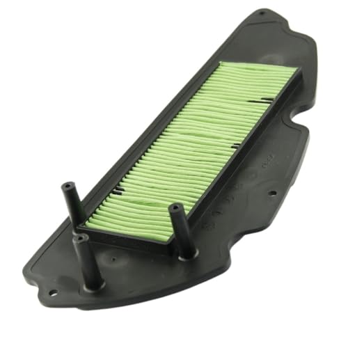 Filtre à carburant réutilisable NSS300 Forza pour un débit fluide