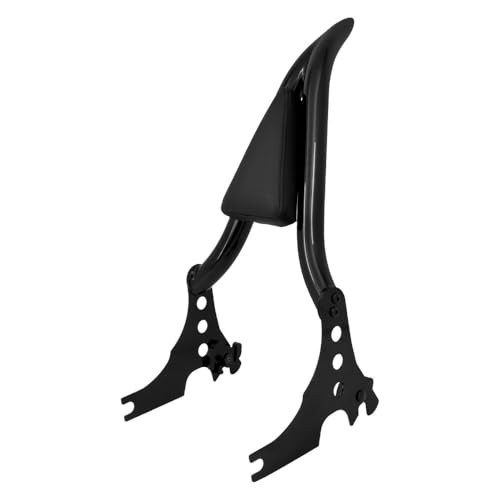Dossier de passager arrière moto avec coussin amovible pour Sportster Iron XL 883 1200