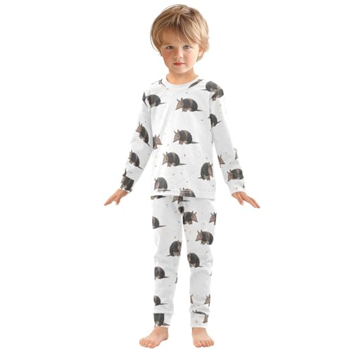 Pajama Sets Long Sleeve Cute Pattern with Armadillos Soft Comfy Sleepwear 2 Piece PJS 3-8T2