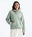 THE NORTH FACE Women's Evolution Floral Box NSE Hoodie | Sweatshirt with Hood, Adjustable Drawcord, Kangaroo Hand Pocket, Ribbed Cuffs & Hem, Slate Moss, Small