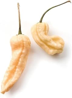 Pepper Joe’s Peach Ghost Pepper Seeds ­­­­­– Pack of 10+ Superhot Peach Ghost Chili Pepper Seeds – USA Grown ­– Premium Non-GMO Peach Bhut Jolokia Seeds for Planting in Your Garden