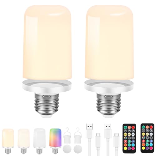 Birnetek Bombilla Recargable USB-C, Bombilla LED E27 Regulable con Mando,Bombilla Inteligente Desmontable con Temporizador,Luz de Emergencia con Imán,Bombilla Portátil Sin Cable para Camping,2 Piezas