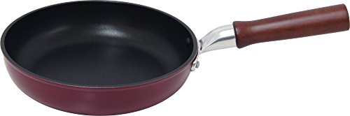 EV}H tCp 20cm M`ŃȂM  тɂ etv`iH y KXΐp { nEl葢̃A~  PFOAt[ RIN-F20