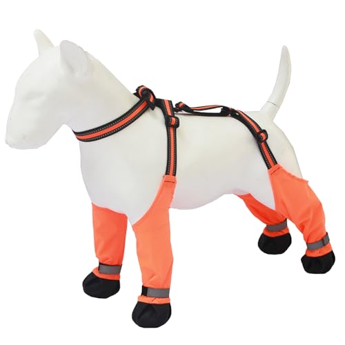 ~߃ybgu[cTXy_[OCveN^[EH[LOjOCnCLOMX~