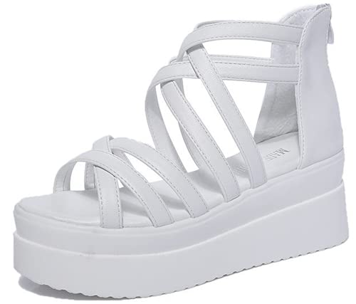 [TRVELBETT] u[cT_ EFbW\[ T}[u[c OfBG[^[ r fB[X y Xgbv ₷ r V[Y  L ʋ t@bV 傫TCY obNWbp[ (zCg,24.5 cm)