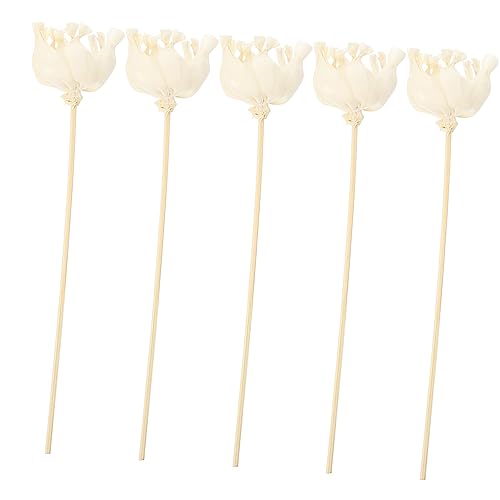 Cabilock 5 Piezas Varillas Aromáticas de Flores Difusores Accesorios de Varillas de Repuesto