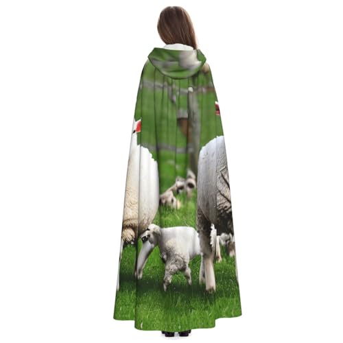 Cape à capuche motif mouton pour déguisement magique et fantastique - 5