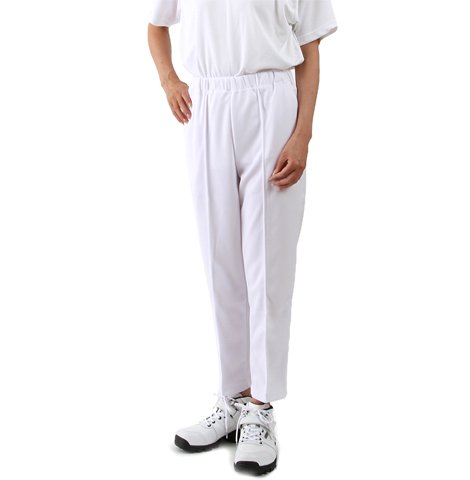 p pY{ p 鏄AꏄɎg܂B y՘Hpi/piz (L)