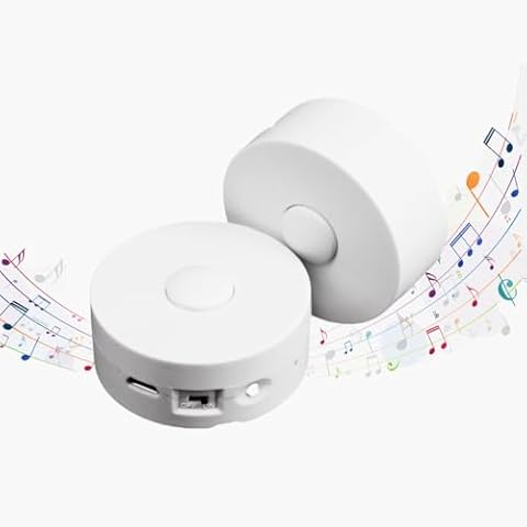 XLW Voice Recorder,16Min Voice Recording Button for Stuffed Animals, Bear,Plush, Baby Doll Toy,Pillow.16MB Record Custom Messages for Xmas Halloween New Year Birthday Creative DIY Present (2P White) Cover