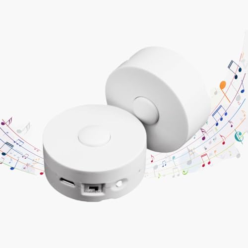 XLW Voice Recorder,16Min Voice Recording Button for Stuffed Animals, Bear,Crafts Pillow.16MB Record Custom Messages for Xmas Halloween New Year Birthday Creative DIY Present (2P White)