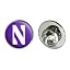 Northwestern University