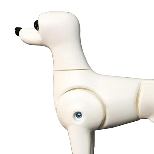 Qianly Hund Körper Modell Hund Mannequin Stehen Position Hund Modell Pet Pflege Hund Modell, Mehrfarbig, Teddy-Hund