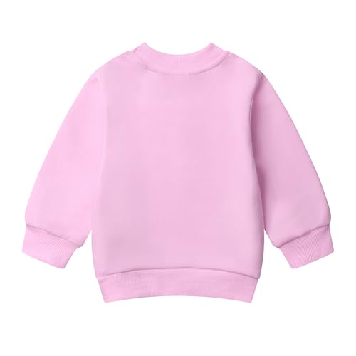 Baby Girls 2 Piece Cute Outfits, Long Sleeve Pullover Crewneck Sweatshirt with Jogger Pants Set for Fall Winter3
