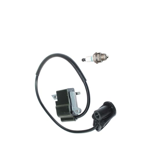 Bobine d'allumage FS250 BT121 pièce de rechange moteur tr0