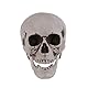 Sewroro 1 Stück Lebensgröße Skelett Schädel Menschlicher Schädel Modell Kunststoff Menschlichen Kopf Skelett Figuren Skulptur Realistische Menschliche Kopf Knochen für Halloween