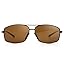 2026 Brown Lens/Black Frame