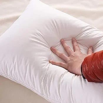 Image of Soft Microfiber Bed Pillows 16 x 24 Inches, White, Pack of 2 (3, Blue)