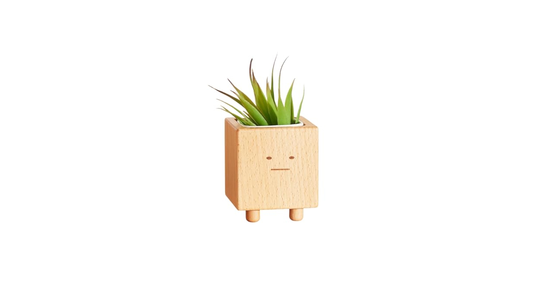 Amazon.co.jp: TOSMU ボーちゃん 植木鉢 かわいい ミニ 木製
