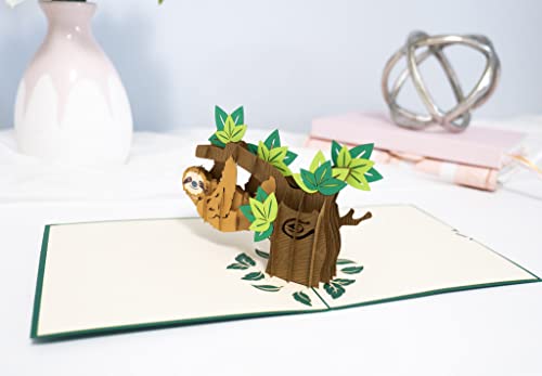 Image of Rykamia Sloth Pop Up Card - Sloth Birthday & Thank You Card For Kids - Jungle Theme Gift