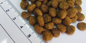 Amazon.co.jp: 【FISH4】フィッシュ4ドッグ サーモン 小粒 1.5kg
