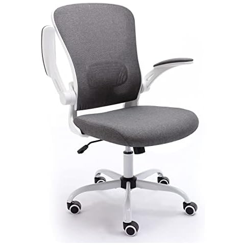 Bonzyhome Desk Chair with Flip-up Armrest, Office Chairs for Home with Lumbar Support & 360°Padded Rotation Seat, Ergonomic Office Chair, Computer Chairs (Classic,Grey) Cover
