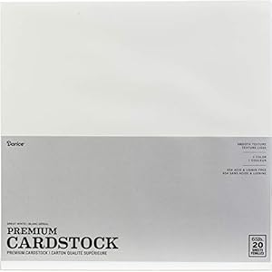 Darice GX Premium Kartonpapier, 20 Stück
