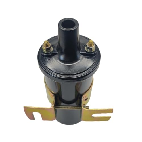Bobine d'allumage haute tension V6 V8 avec boîtier scellé anti-humidité