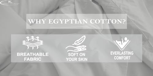 Image of Single Size Fitted Sheet- Egyptian Cotton 500 Thread Count Hotel Luxury 1 Piece Single Fitted Bedsheet- Fit Mattress Up to 12 inch- Extra Soft, Wrinkle Free, Breathable Sheet- Light Grey