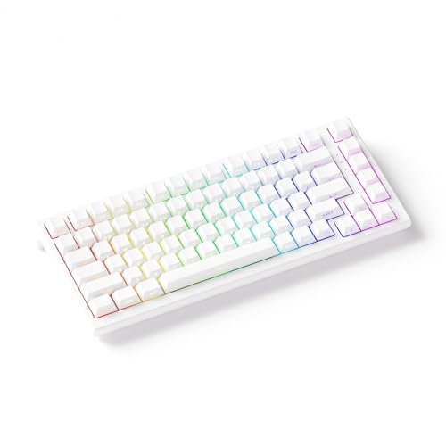 Akko TAC75 HE 75%英語配列 の商品画像 4