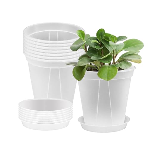 siawadeky 植木鉢 胡蝶蘭鉢 8個セット 底皿付き 植物ポット スリット鉢 プラスチック鉢 穴付き 軽量 透明 鉢植え 頑丈 耐久性 変形にくい 園芸用品 観葉植物 花 ハーブ 野菜栽培 屋内 屋外 4号