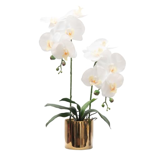 CXGS Planta de orquídeas artificiales realistas de látex sintético en jarrón de cerámica de 19.7 pulgadas, arreglo floral de Phalaenopsis falsas blancas con tallos manchados para centro de mesa,